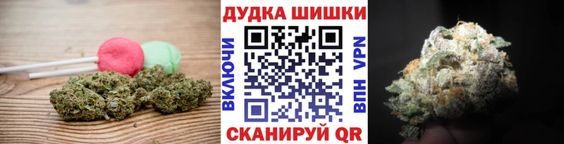 где найти   Андреаполь  Canna-Cookies конопля 