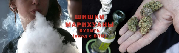 амф Алзамай